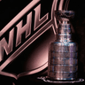Stanley Cup Champion 2025